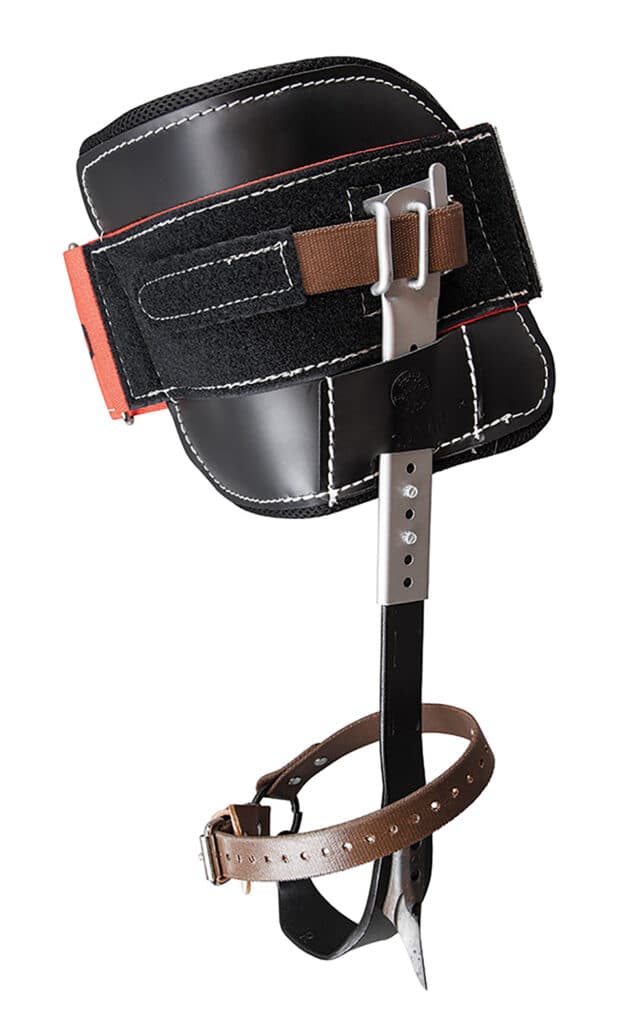 Post Full Width Image