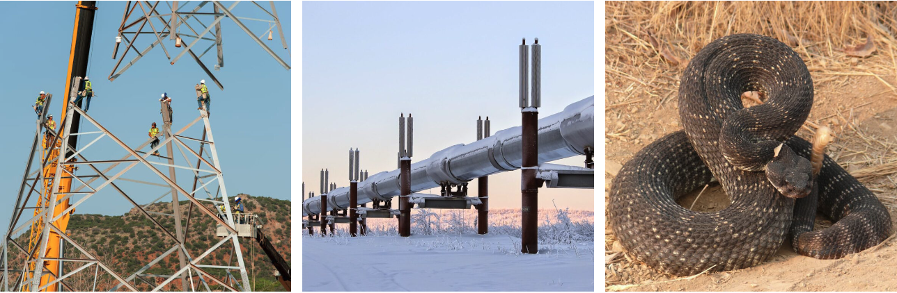 Post Full Width Image